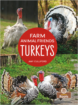 Turkeys - 9781039659643 by Amy Culliford, 9781039659643