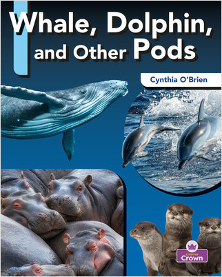 Whale, Dolphin, and Other Pods by Cynthia O'Brien, 9781039806825