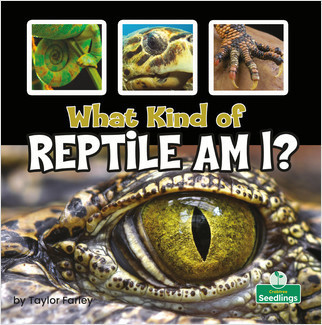 What Kind of Reptile Am I? - 9781039660182 by Taylor Farley, 9781039660182