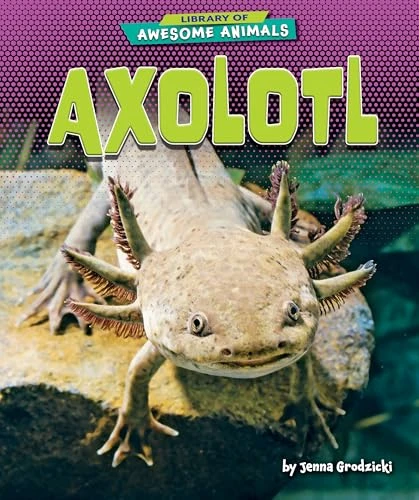 Axolotl - 9798888221822 by Jenna Grodzicki, 9798888221822