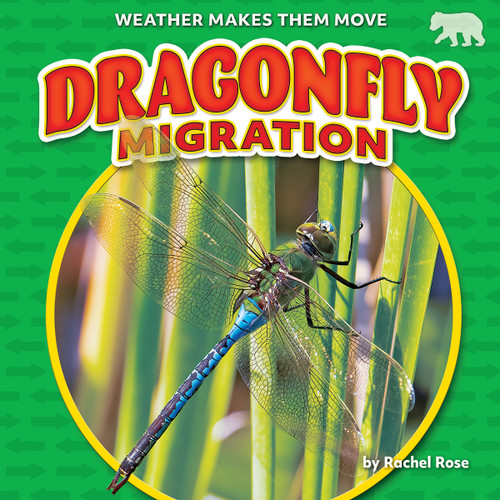 Dragonfly Migration by Rachel Rose, 9798888220641
