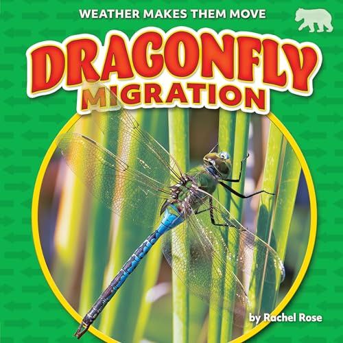 Dragonfly Migration by Rachel Rose, 9798888220641