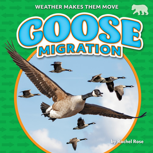 Goose Migration - 9798888220658 by Rachel Rose, 9798888220658