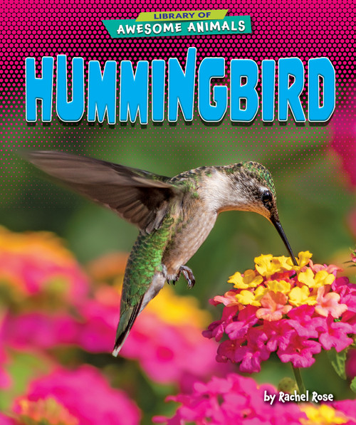 Hummingbird - 9798888221778 by Rachel Rose, 9798888221778