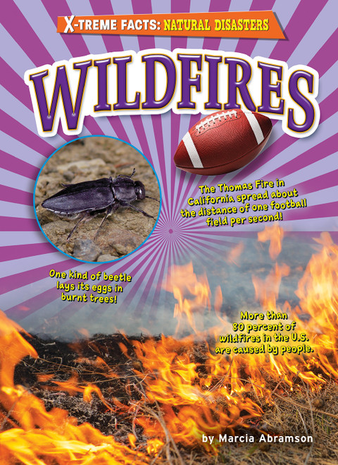 Wildfires - 9798888221587 by Marcia Abramson, 9798888221587