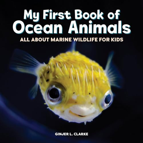 My First Book of Ocean Animals (All About Marine Wildlife for Kids) by Ginjer L. Clarke, 9781648767951