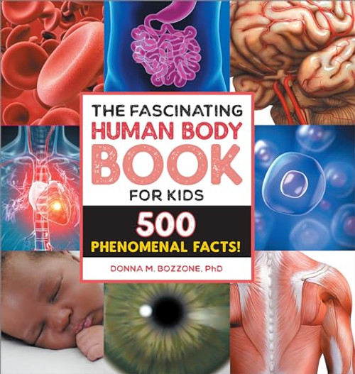 The Fascinating Human Body Book for Kids (500 Phenomenal Facts!) - 9798886085792 by Donna M. Bozzone PhD, 9798886085792
