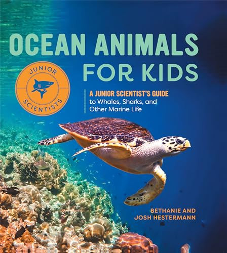 Ocean Animals for Kids (A Junior Scientist's Guide to Whales, Sharks, and Other Marine Life) - 9798886086652 by Bethanie Hestermann, Josh Hestermann, 9798886086652