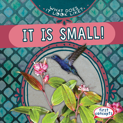 It Is Small! - 9781538284919 by Beth Gottlieb, 9781538284919