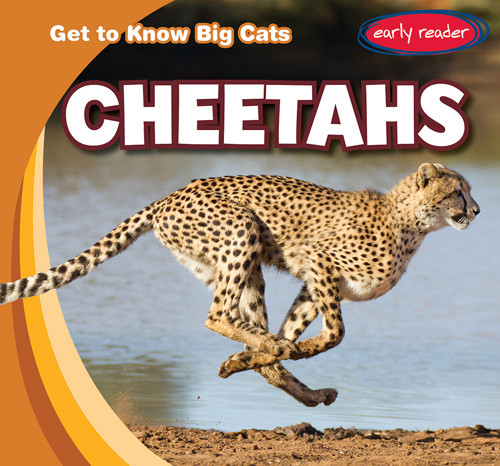 Cheetahs - 9781538285985 by Bray Jacobson, 9781538285985