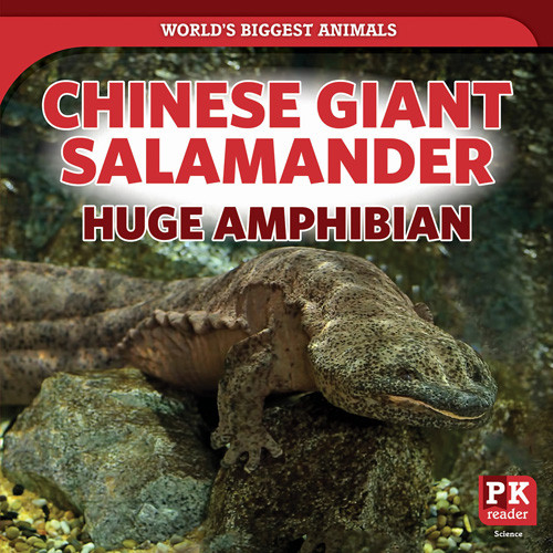 Chinese Giant Salamander: Huge Amphibian - 9781642825527 by Natalie Humphrey, 9781642825527