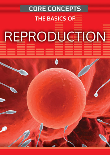 The Basics of Reproduction - 9781499474558 by Anne O'Daly, 9781499474558