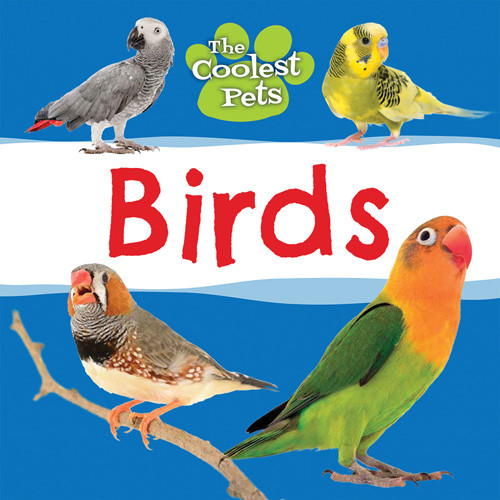 Birds - 9781534545489 by Anne O'Daly, 9781534545489