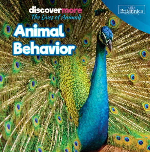 Animal Behavior - 9781642828573 by Doug Bradley