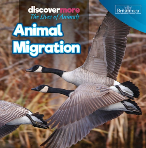 Animal Migration - 9781642828665 by Doug Bradley