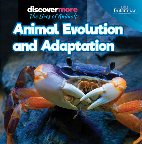 Animal Evolution and Adaptation - 9781642828696 by Doug Bradley, 9781642828696