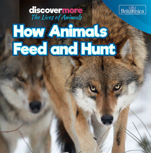 How Animals Feed and Hunt - 9781642828726 by Doug Bradley, 9781642828726