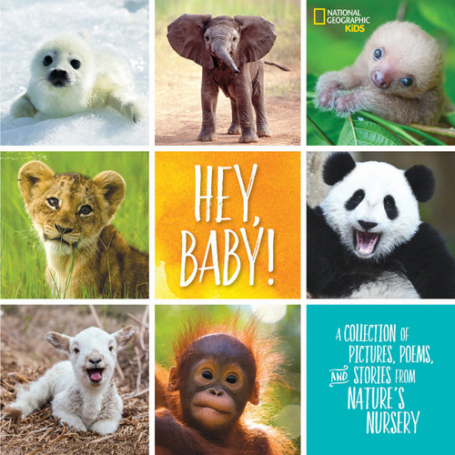 Hey, Baby! (A Collection of Pictures, Poems, and Stories from Nature's Nursery) by Stephanie Warren Drimmer, 9781426329319