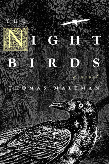 The Night Birds by Thomas Maltman, 9781569475027