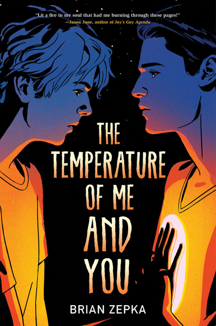 The Temperature of Me and You by Brian Zepka, 9781368074179