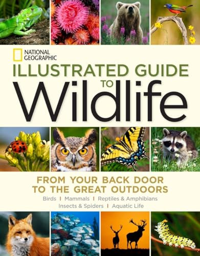 National Geographic Illustrated Guide to Wildlife (From Your Back Door to the Great Outdoors) by National Geographic, 9781426213724