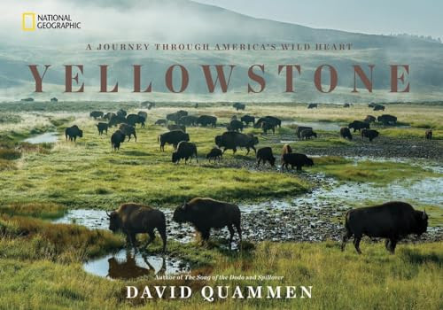 Yellowstone (A Journey Through America's Wild Heart) by David Quammen, 9781426217548