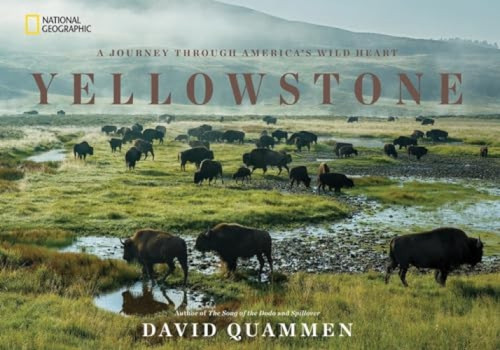 Yellowstone (A Journey Through America's Wild Heart) by David Quammen, 9781426217548