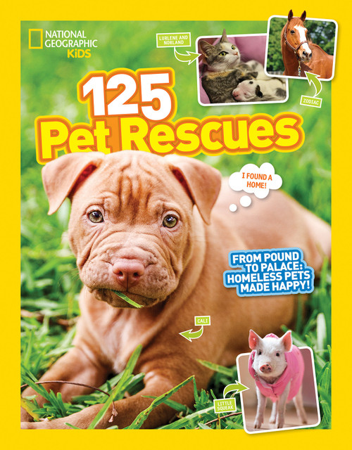 125 Pet Rescues (From Pound to Palace: Homeless Pets Made Happy) by National Geographic Kids, 9781426327377