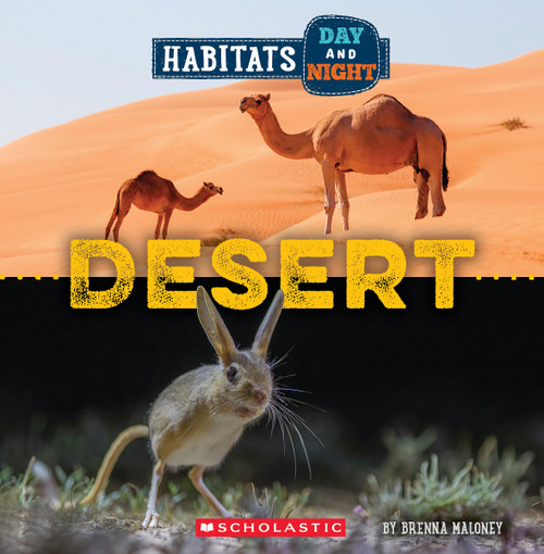 Desert (Wild World: Habitats Day and Night) - 9781339020730 by Brenna Maloney, 9781339020730