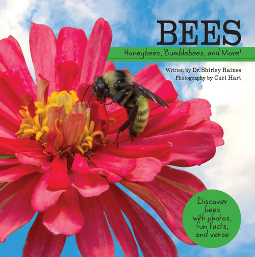 Bees (Honeybees, Bumblebees, and More!) - 9781486726318 by Shirley Raines, Curt Hart, 9781486726318