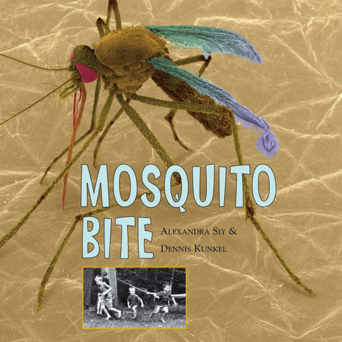 Mosquito Bite by Alexandra Siy, Dennis Kunkel, 9781570915918