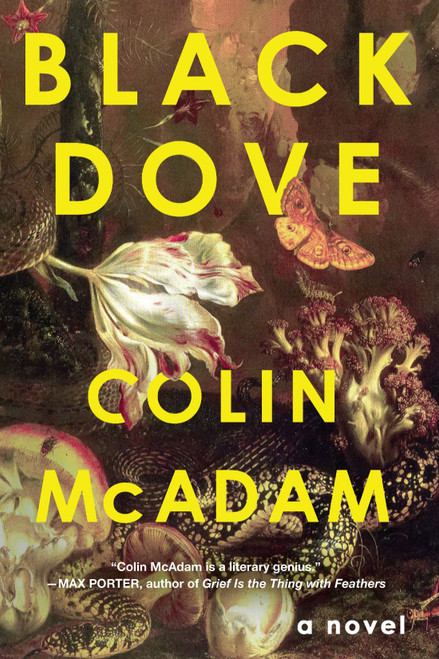 Black Dove - 9781641295338 by Colin McAdam, 9781641295338