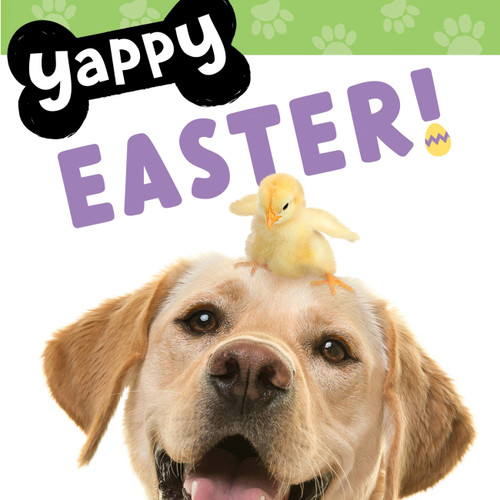 Yappy Easter! by WorthyKids, 9781546006466