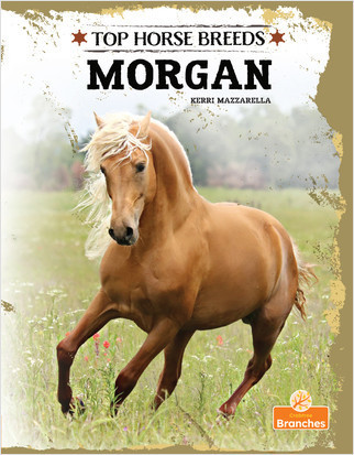 Morgan - 9781039809970 by Kerri Mazzarella, 9781039809970