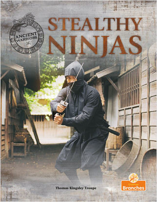 Stealthy Ninjas - 9781039809505 by Thomas Kingsley Troupe, 9781039809505