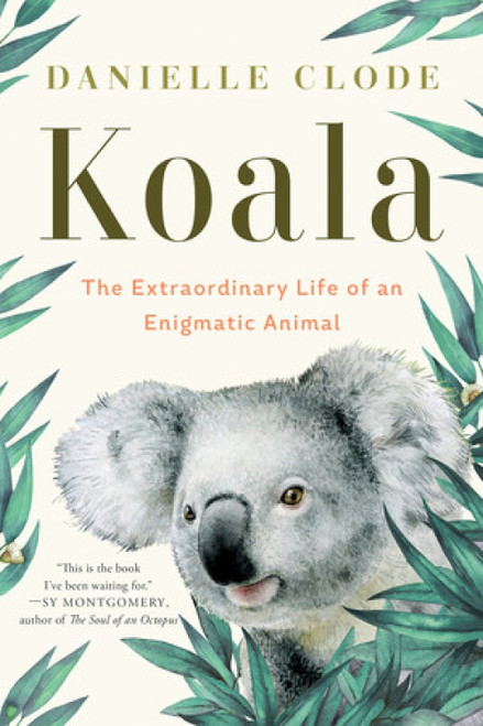 Koala (The Extraordinary Life of an Enigmatic Animal) by Danielle Clode, 9781324074496
