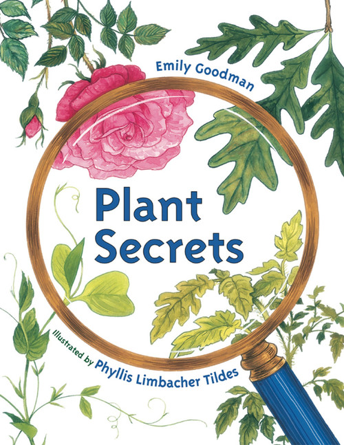 Plant Secrets by Emily Goodman, Phyllis Limbacher Tildes, 9781580892056
