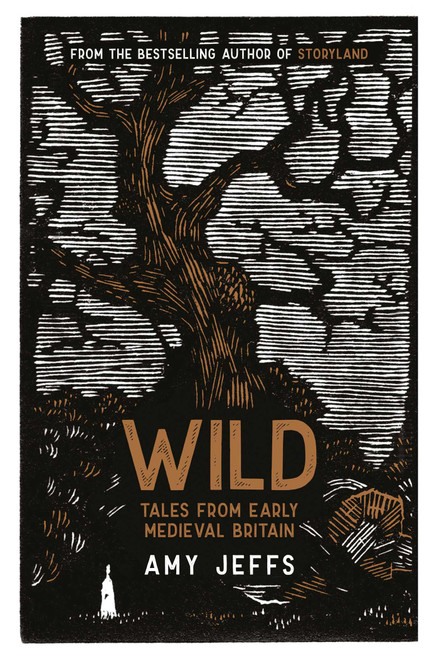 Wild (Tales from Early Medieval Britain) by Amy Jeffs, 9781524886363
