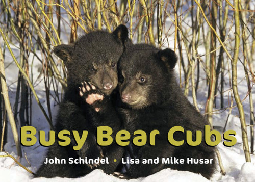 Busy Bear Cubs by John Schindel, Lisa Husar, Mike Husar, 9781582463025