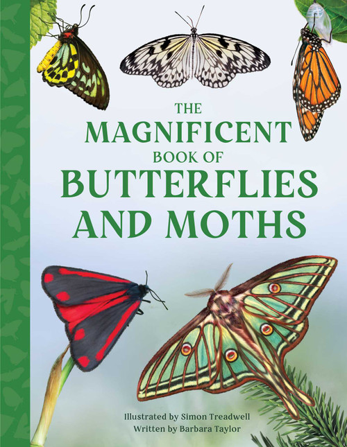 The Magnificent Book of Butterflies and Moths by Barbara Taylor, Simon Treadwell, 9798886740332