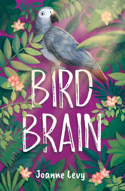 Bird Brain by Joanne Levy, 9781459837713