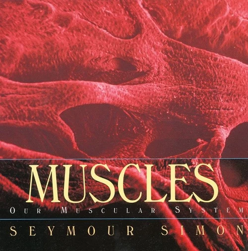 Muscles (Our Muscular System) by Seymour Simon, 9780688177201