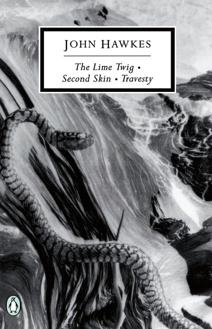 The Lime Twig by John Hawkes, Patrick McGrath, Robert Coover, 9780140189827