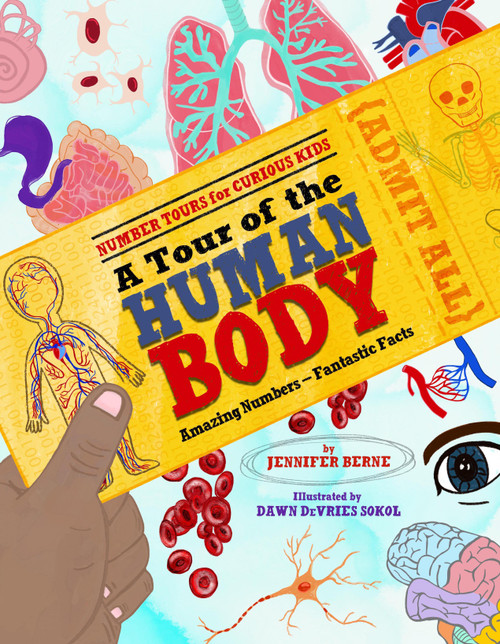 A Tour of the Human Body (Amazing Numbers--Fantastic Facts) by Jennifer Berne, Dawn DeVries Sokol, 9781662670152