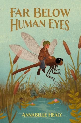 Far Below Human Eyes by Annabelle Healy, 9781631952401