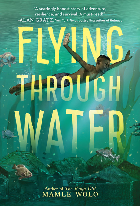 Flying Through Water by Mamle Wolo, 9780316703963