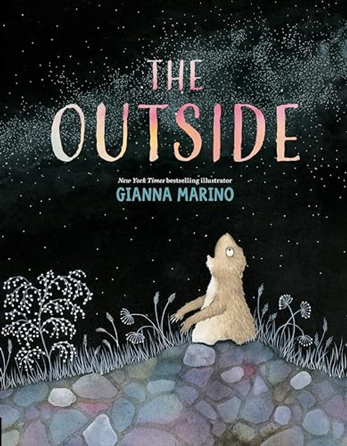 The Outside by Gianna Marino, Gianna Marino, 9780593528778