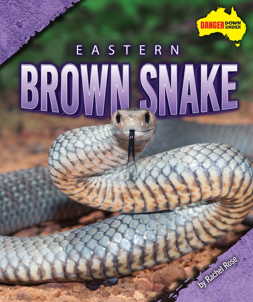 Eastern Brown Snake by Rachel Rose, 9798889165026