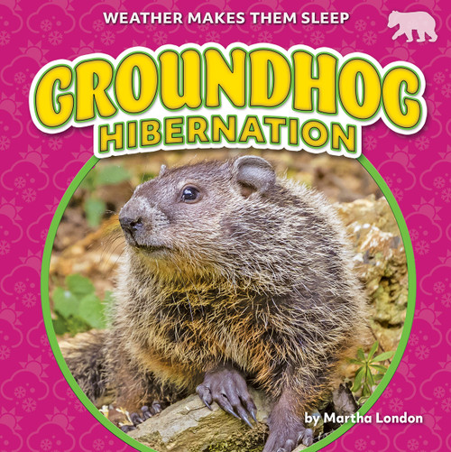 Groundhog Hibernation by Martha London, 9798889162292
