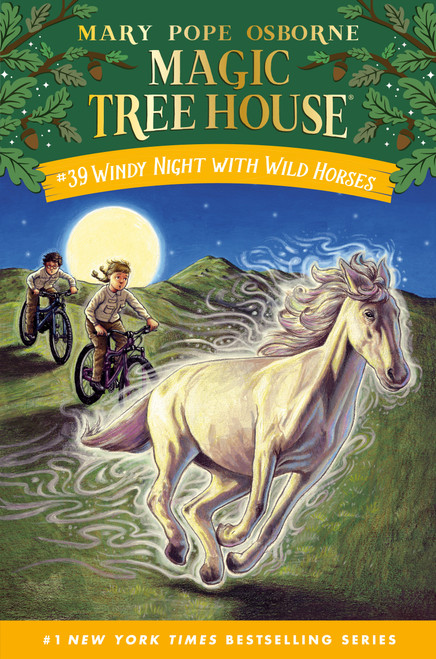 Windy Night with Wild Horses by Mary Pope Osborne, AG Ford, 9780593706473